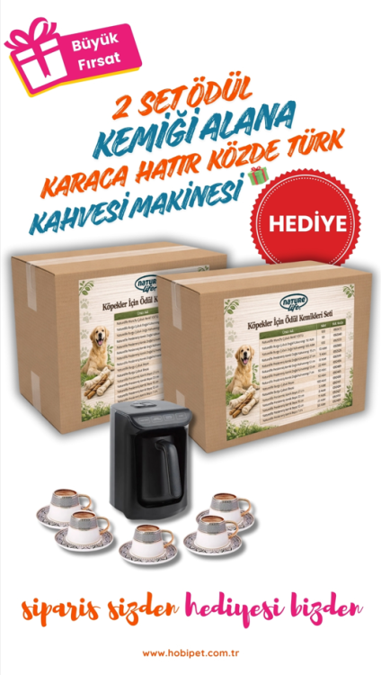 Naturelife Köpekler İçin Ödül Kemiği Seti
