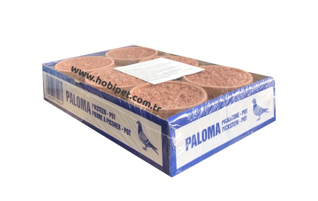 Paloma - Paloma Red Pickstone Kırmızı Mineral Çanak 6'lı
