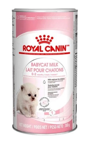 Royal Canin - Royal Canin Babycat Milk Süt Tozu 300 Gr