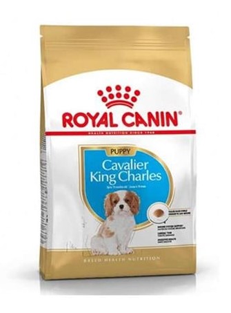 Royal Canin - Royal Canin Cavalier King Charles Puppy Yavru Köpek Maması 1.5 Kg