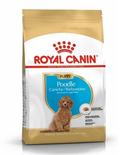 Royal Canin - Royal Canin Poodle Puppy Yavru Köpek Maması 3 Kg