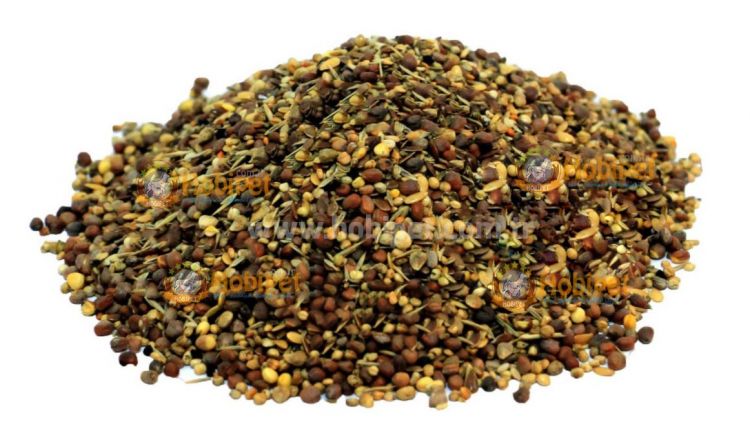Versele Laga Prestige Sağlık Tohumu 20 kg (Kondisyon)