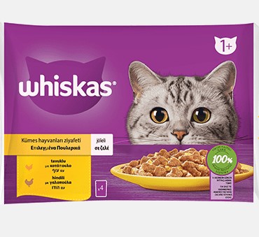 Whiskas Kümes Hayvanlı 4 X 85 Gr Pouch X 13 Adet