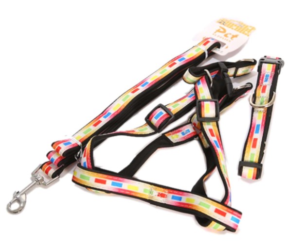 Yıldırım Pet - Yıldırım Pet Takım Tasma Ve Boyunluk Yk-310 Large